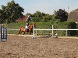 img_7178_web